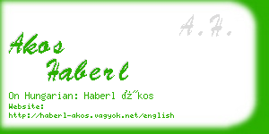 akos haberl business card